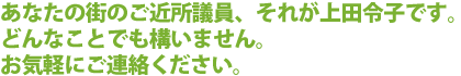 あなたの街のご近所議員、それが上田令子です。どんなことでも構いません。お気軽にご連絡ください。