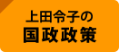 国政政策