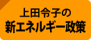 新エネルギー政策
