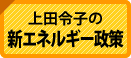 新エネルギー政策