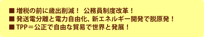 ■増税の前に歳出削減!公務員制度改革!■発送電分離と電力自由化、新エネルギー開発で脱原発!■TPP=公正で自由な貿易で世界と発展!