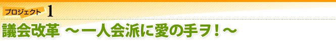 プロジェクト1：議会改革〜一人会派に愛の手ヲ！〜